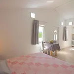 Studio in Porec/Istrien 10215